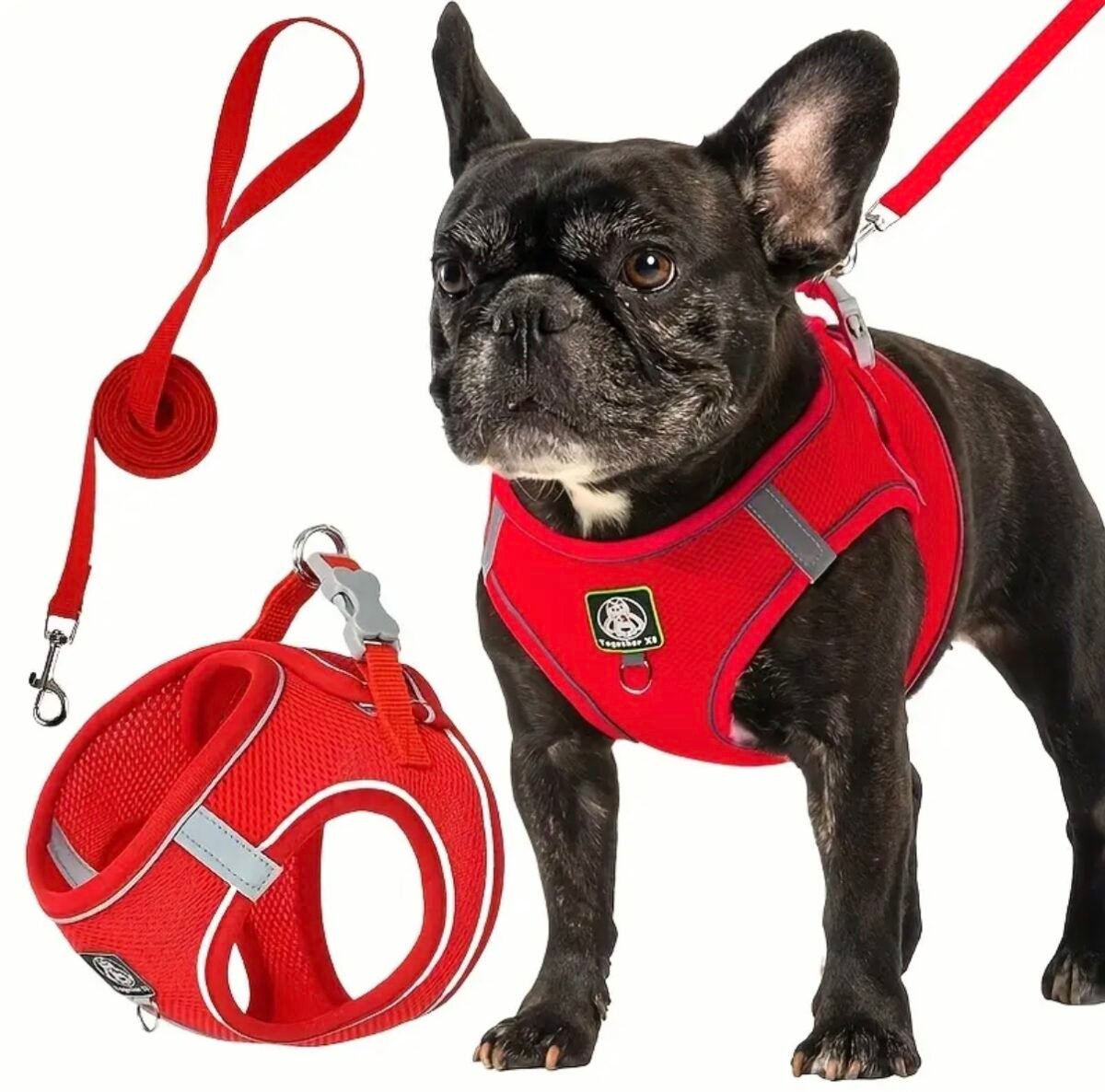 Screenshot Kit de Arnés y Correa Paseo Confort - Imagen 1