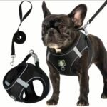 Kit de Arnés y Correa Paseo Confort - Imagen 3