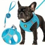 Kit de Arnés y Correa Paseo Confort - Imagen 4