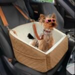 Asiento elevador de seguridad para auto elegante