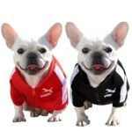 Chompa Deportiva "Pumita Edition"