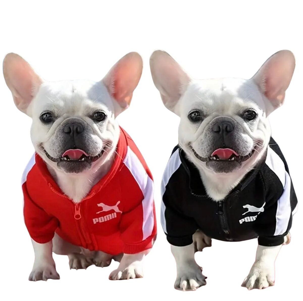 Untitled design8 Chompa Deportiva "Pumita Edition" - Imagen 1